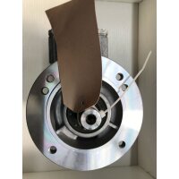 Bauer Motor 0,25kW steckbar